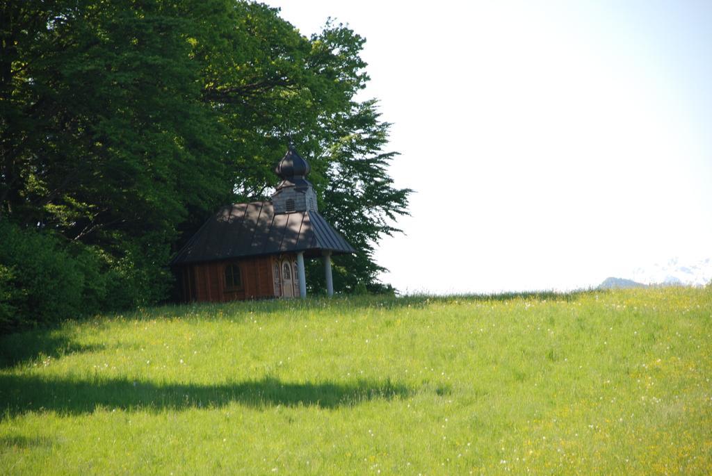 Landhaus Brieger Henndorf am Wallersee Zewnętrze zdjęcie
